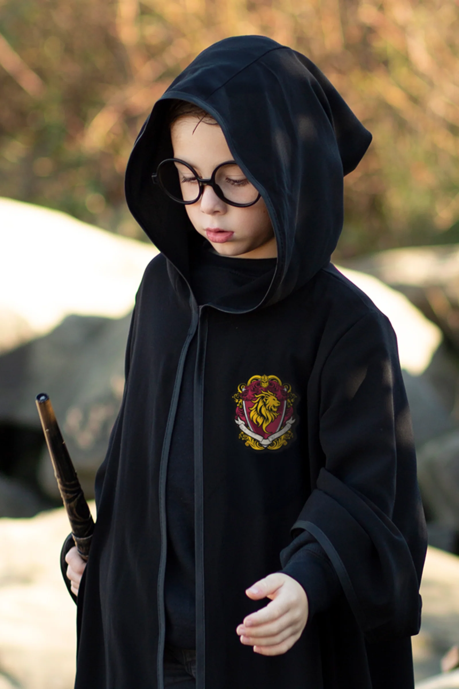 Wizard Cloak & Glasses - Image 4