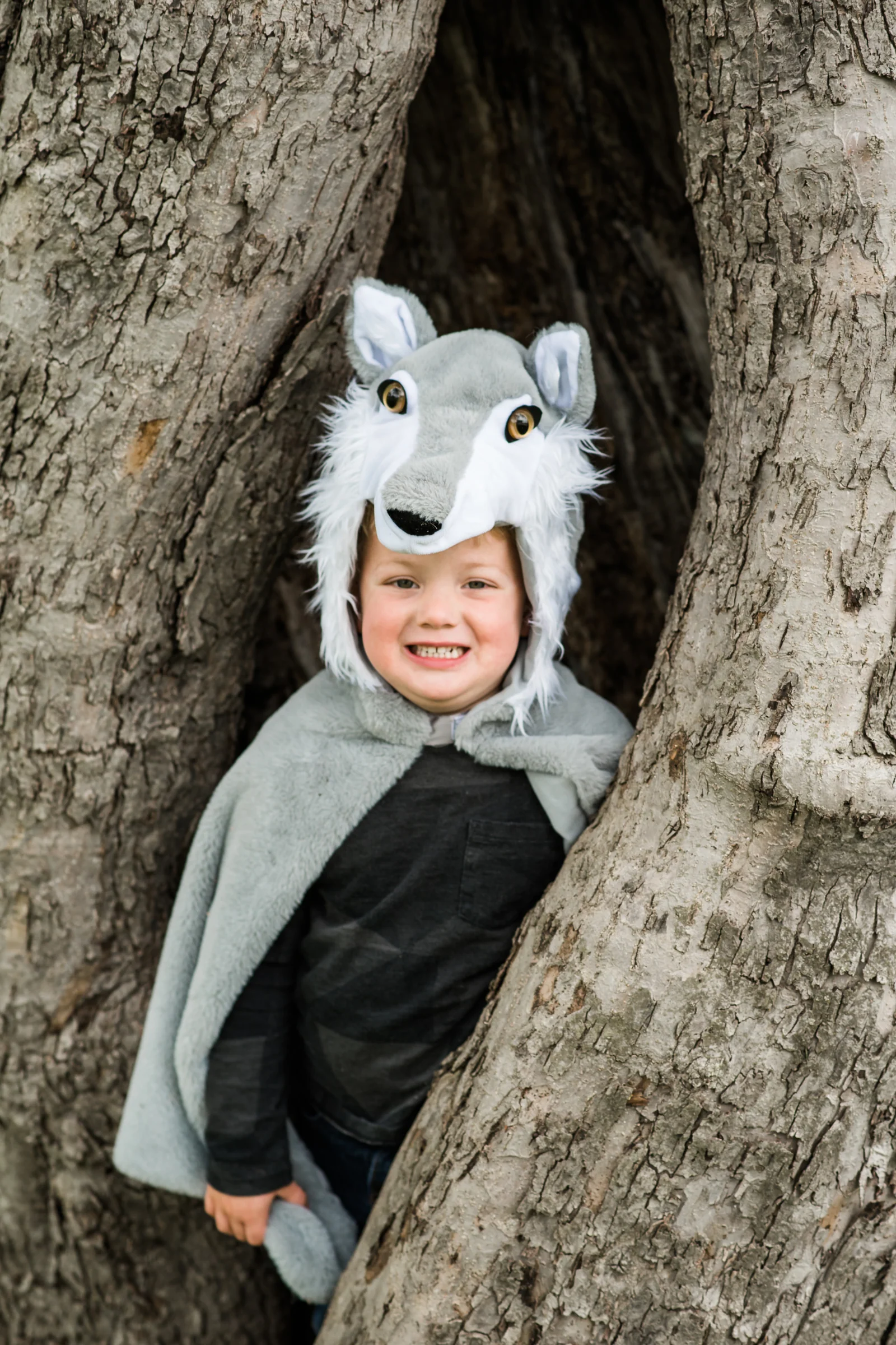 Woodland Storybook Wolf Cape - Image 3