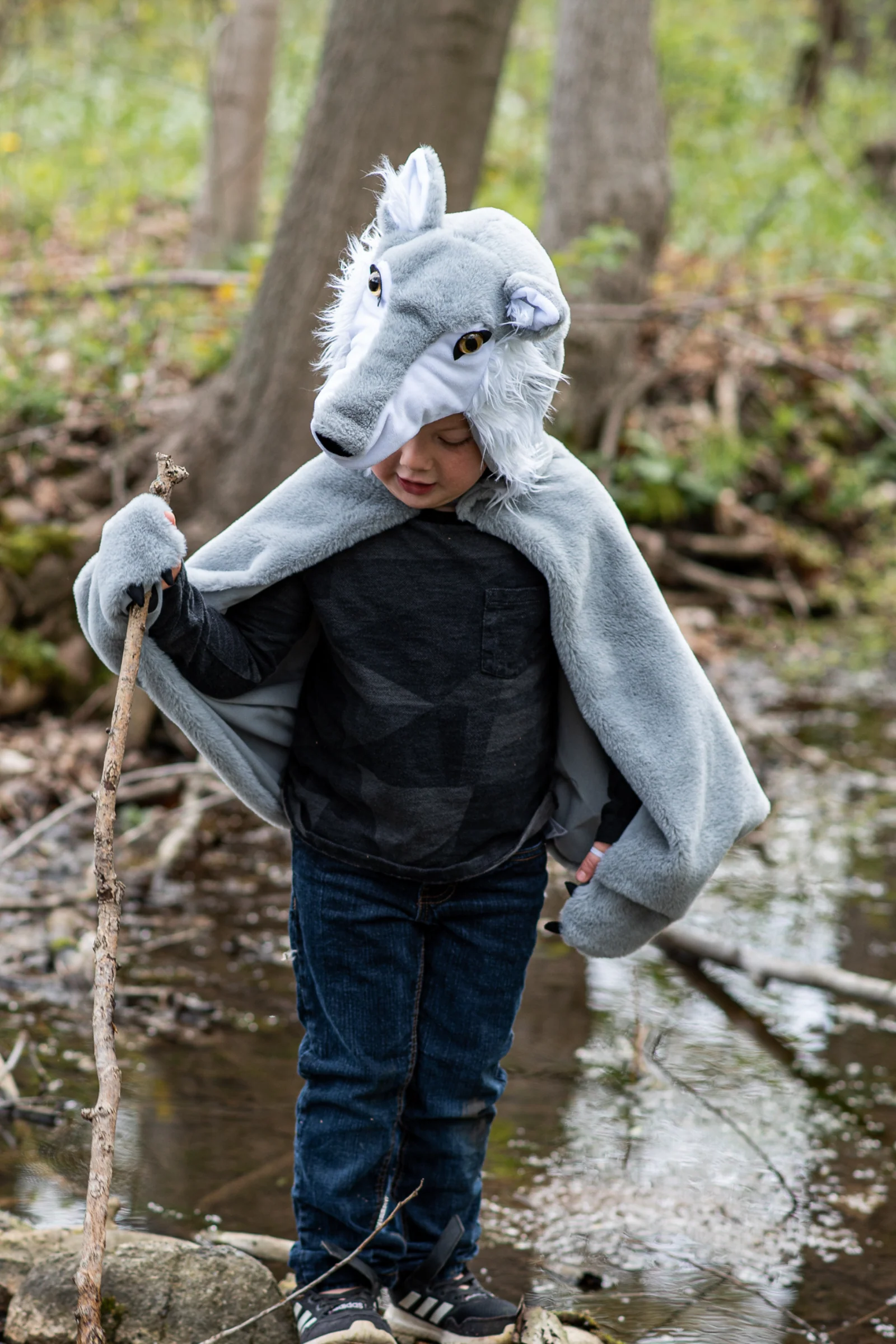 Woodland Storybook Wolf Cape - Image 5