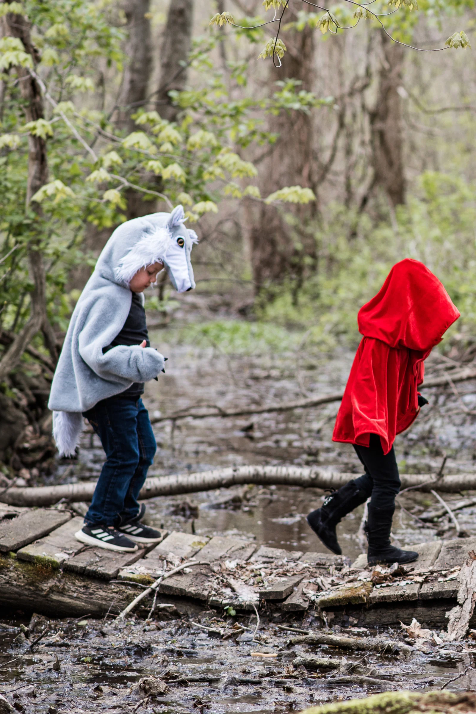 Woodland Storybook Wolf Cape - Image 6