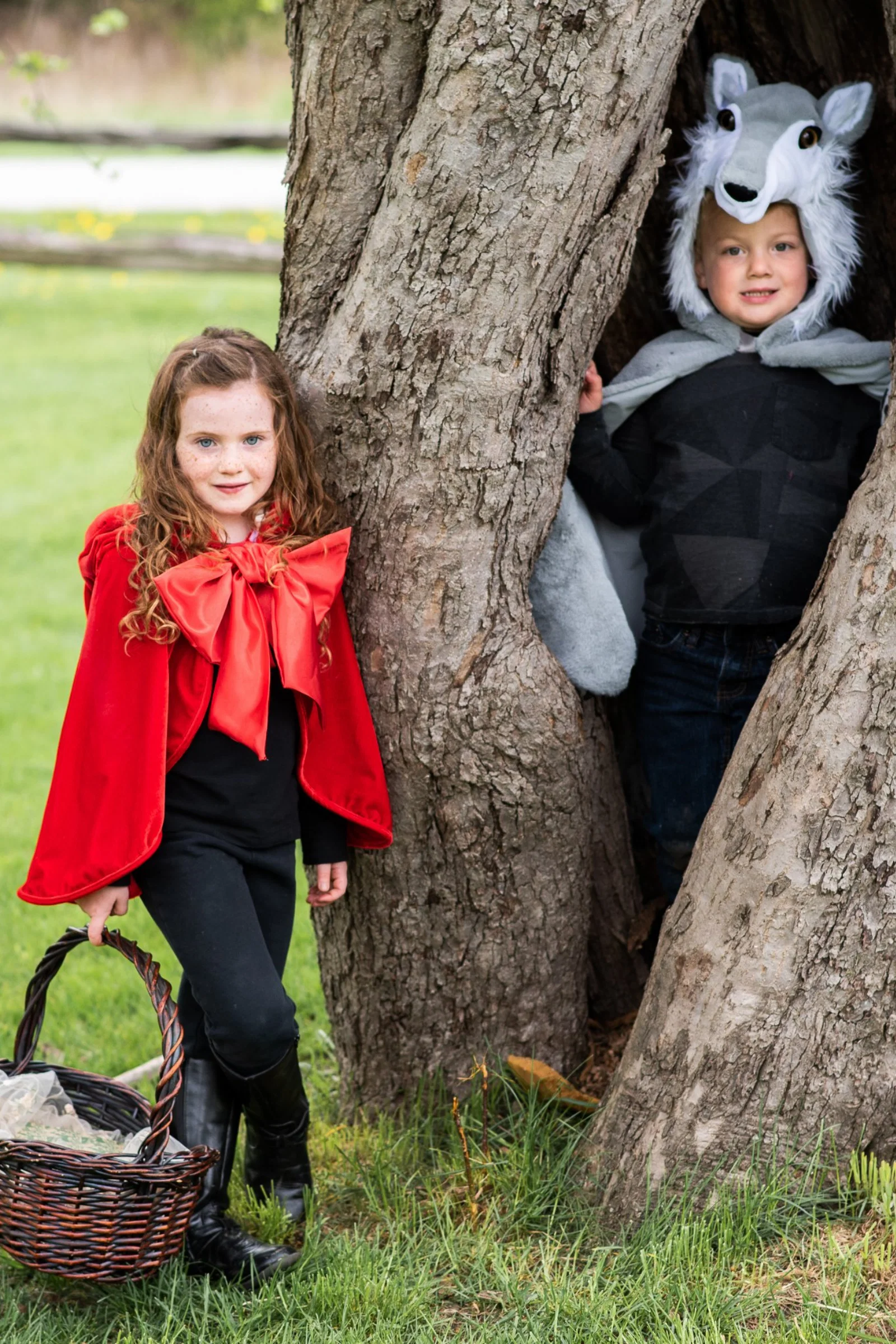Woodland Storybook Wolf Cape - Image 7