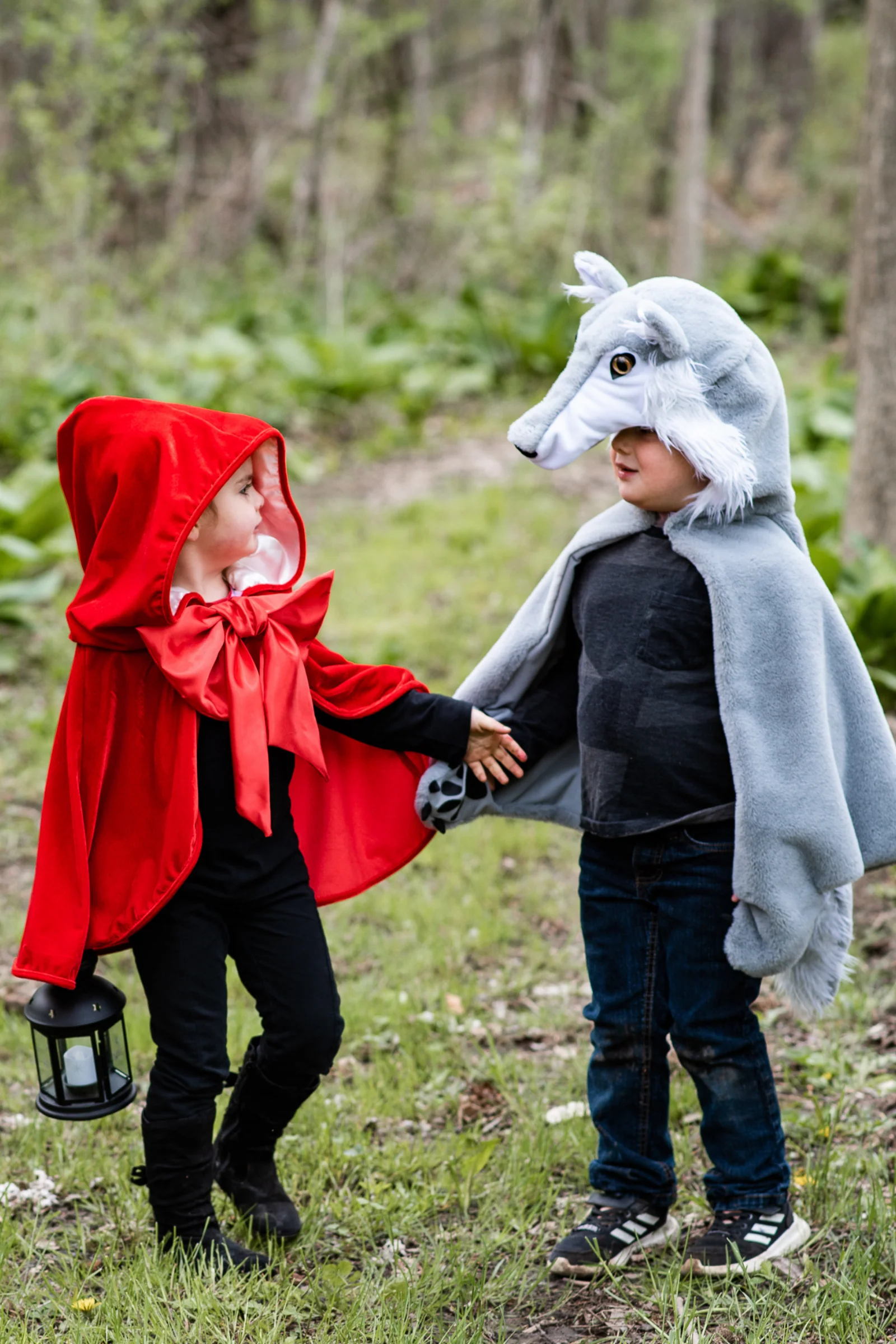 Woodland Storybook Wolf Cape - Image 8